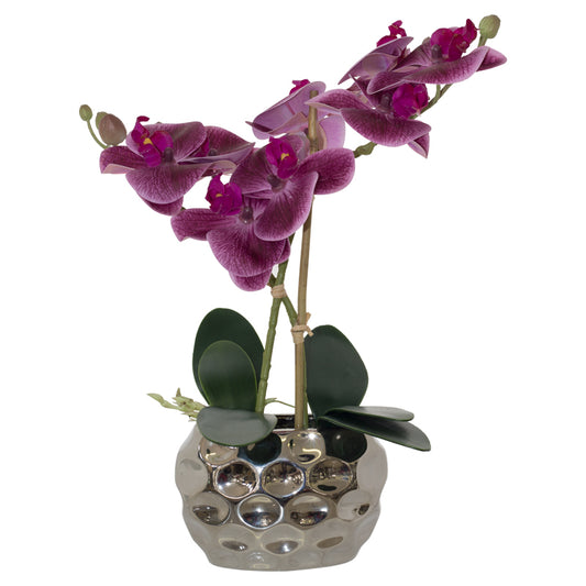 PURPLE ORCHID SILVER POT 33CM