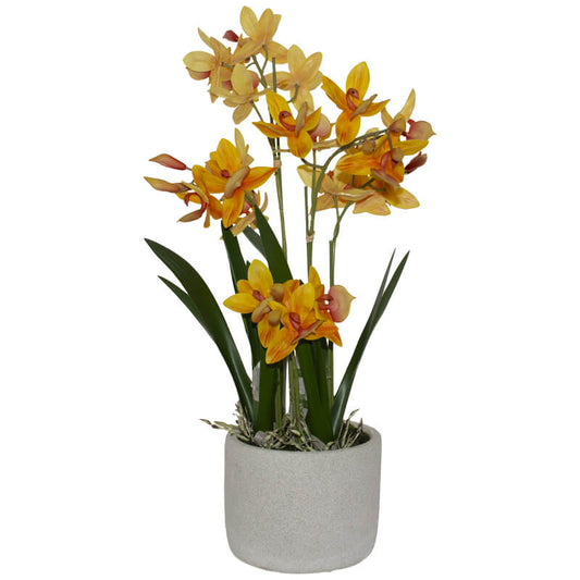 ORANGE SWAN ORCHID 56CM BEIGE POT