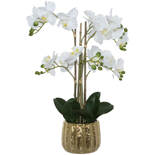 WHITE ORCHID IN GOLD POT 60CM